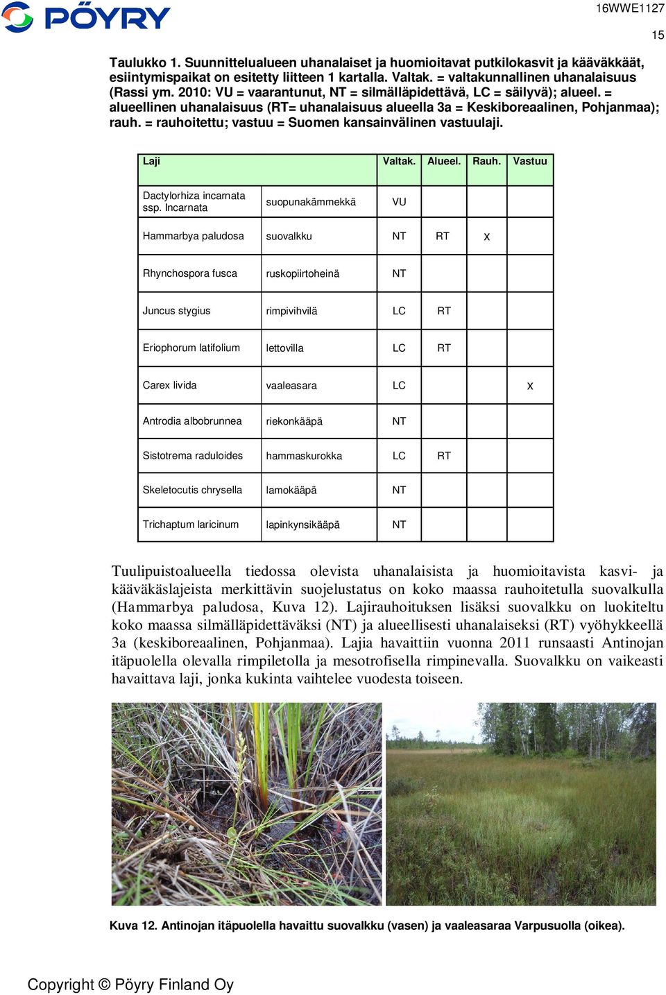 = rauhoitettu; vastuu = Suomen kansainvälinen vastuulaji. 15 Laji Valtak. Alueel. Rauh. Vastuu Dactylorhiza incarnata ssp.