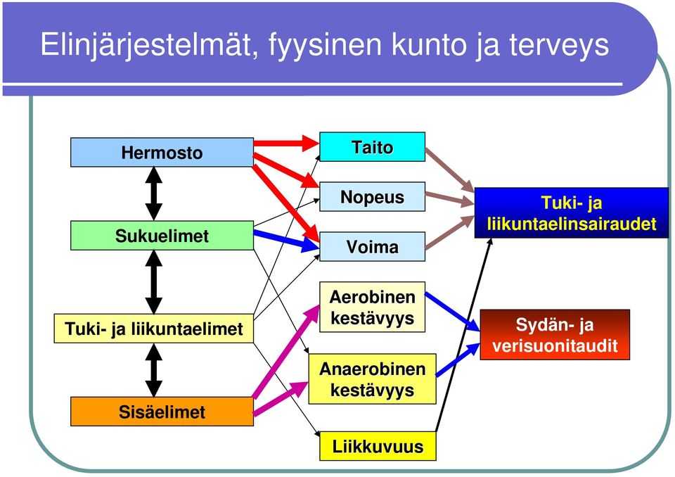 liikuntaelinsairaudet Tuki- ja liikuntaelimet Sisäelimet