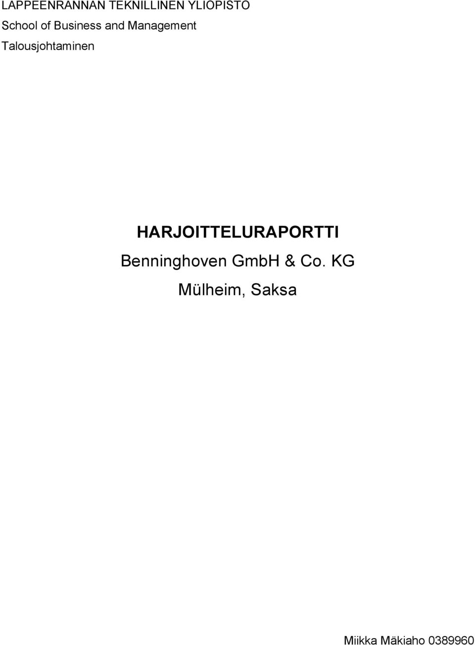 Talousjohtaminen HARJOITTELURAPORTTI