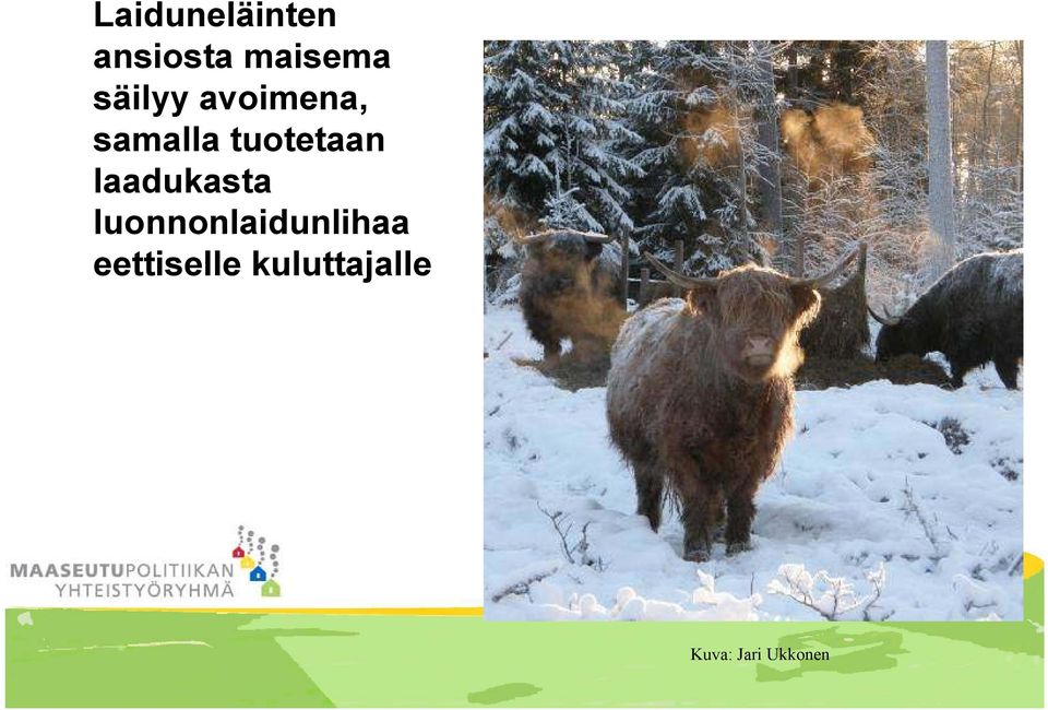 laadukasta luonnonlaidunlihaa