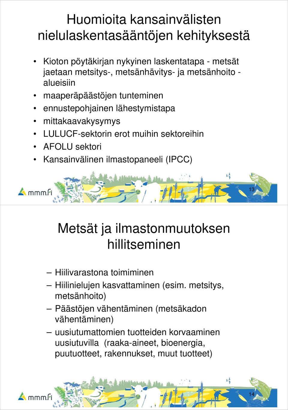 ilmastopaneeli (IPCC) 13 Metsät ja ilmastonmuutoksen hillitseminen Hiilivarastona toimiminen Hiilinielujen kasvattaminen (esim.