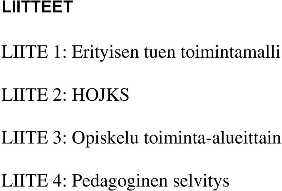 LIITE 3: Opiskelu