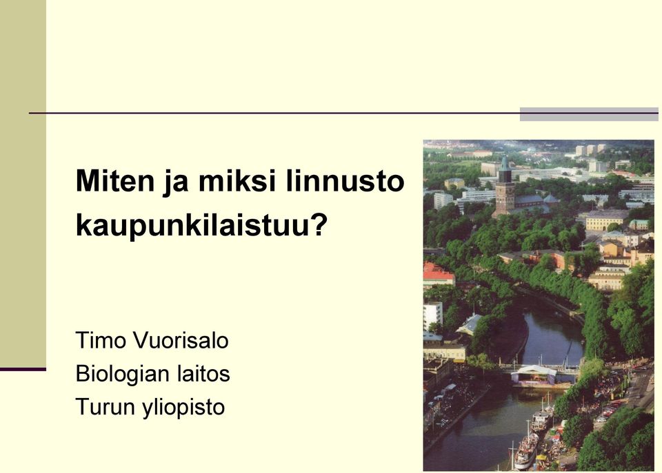 kaupunkilaistuu?