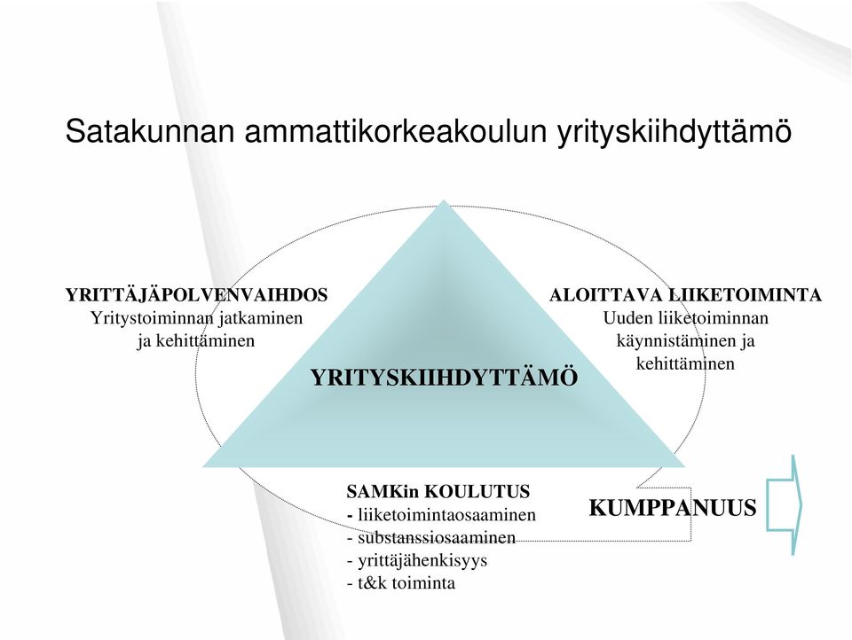 LIIKETOIMINTA Uuden liiketoiminnan käynnistäminen ja kehittäminen SAMKin