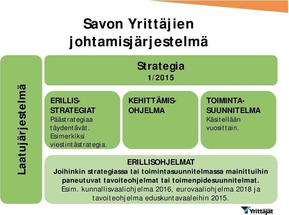 ERILLISOHJELMAT Joihinkin strategiassa tai toimintasuunnitelmassa mainittuihin paneutuvat tavoiteohjelmat tai