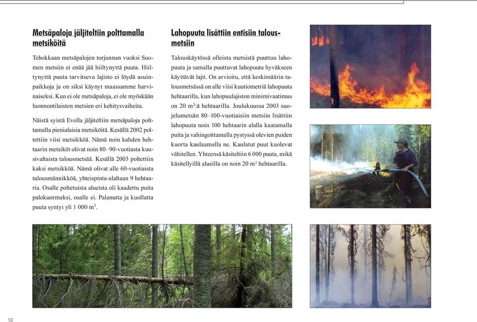 Näistä syistä Evolla jäljiteltiin metsäpaloja polttamalla pienialaisia metsiköitä. Kesällä 2002 poltettiin viisi metsikköä.