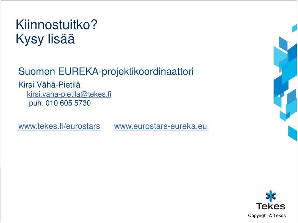 EUREKA-projektikoordinaattori Kirsi