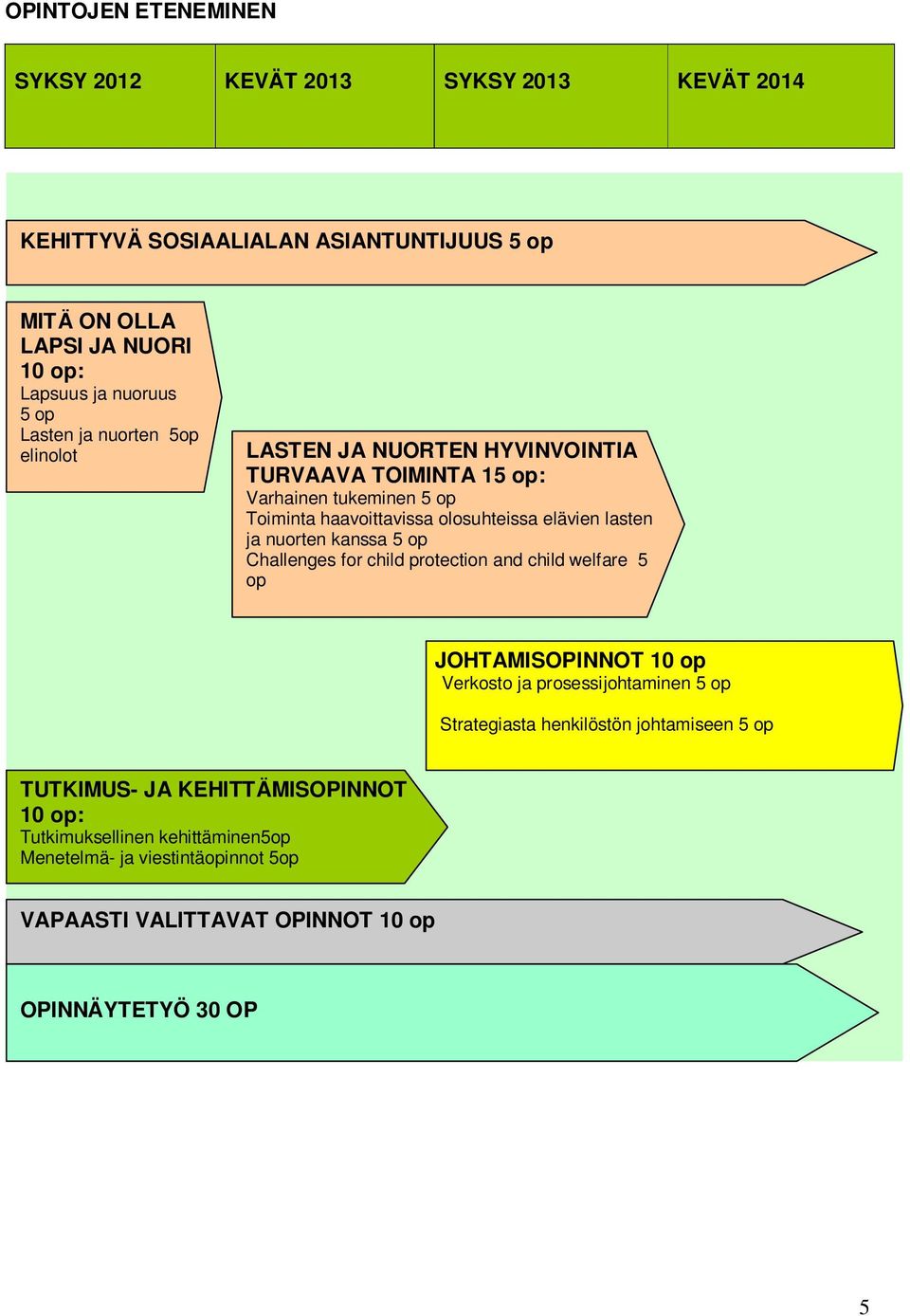 nuorten kanssa 5 op Challenges for child protection and child welfare 5 op JOHTAMISOPINNOT 10 op Verkosto ja prosessijohtaminen 5 op Strategiasta henkilöstön