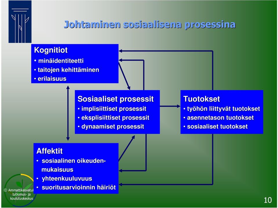 prosessit Tuotokset työhön liittyvät tuotokset asennetason tuotokset sosiaaliset