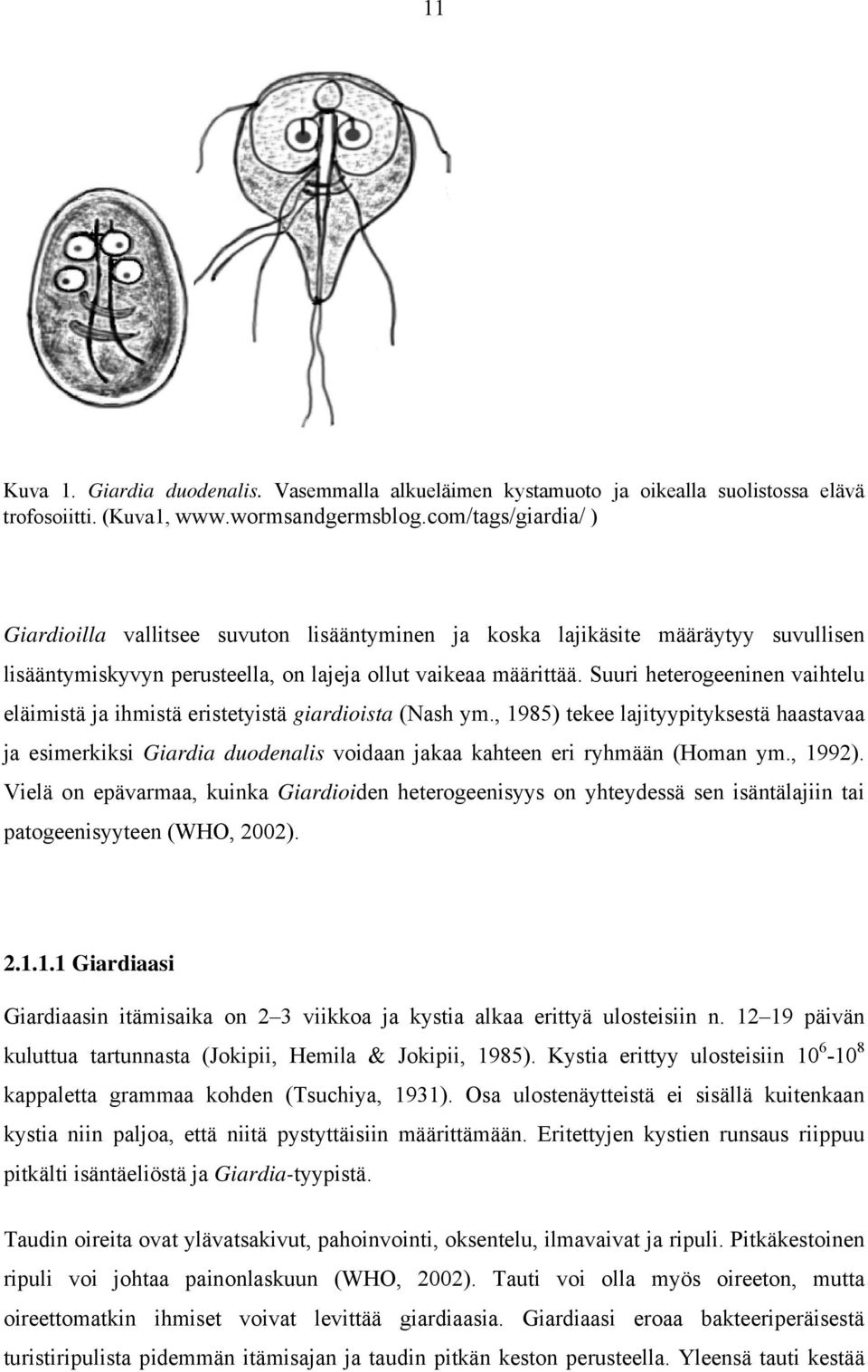 Suuri heterogeeninen vaihtelu eläimistä ja ihmistä eristetyistä giardioista (Nash ym.