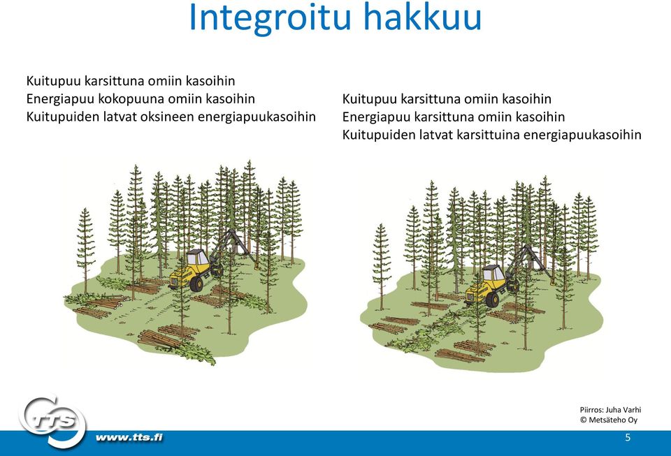 Kuitupuu karsittuna omiin kasoihin Energiapuu karsittuna omiin kasoihin