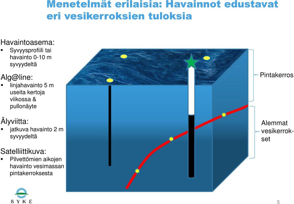 kertoja viikossa & pullonäyte Älyviitta: jatkuva havainto 2 m syvyydeltä