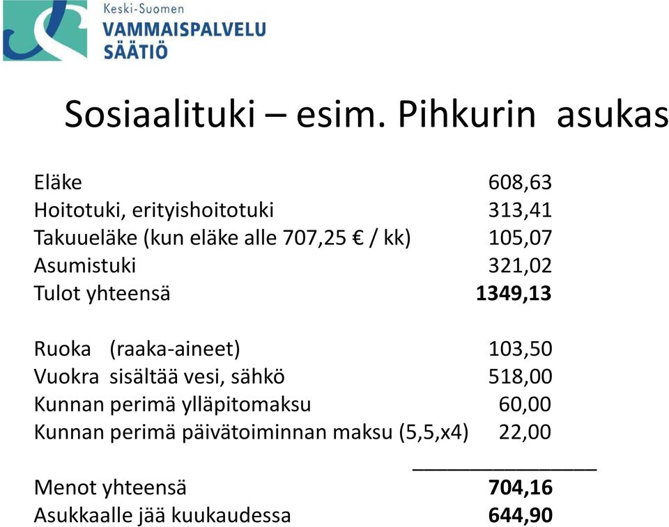 707,25 / kk) 105,07 Asumistuki 321,02 Tulot yhteensä 1349,13 Ruoka (raaka-aineet) 103,50