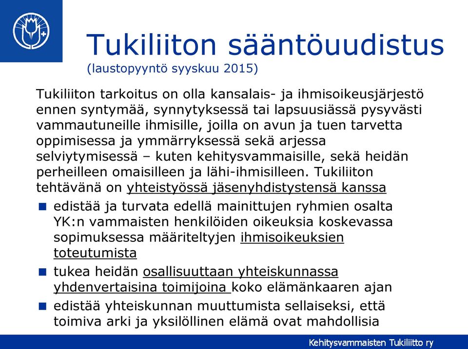 Tukiliiton tehtävänä on yhteistyössä jäsenyhdistystensä kanssa edistää ja turvata edellä mainittujen ryhmien osalta YK:n vammaisten henkilöiden oikeuksia koskevassa sopimuksessa määriteltyjen