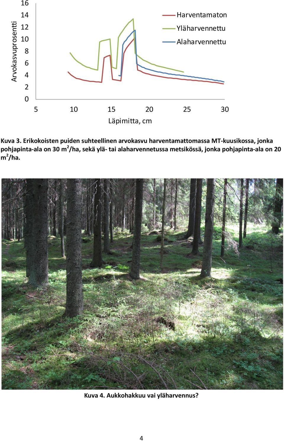 Erikokoisten puiden suhteellinen arvokasvu harventamattomassa MT-kuusikossa, jonka