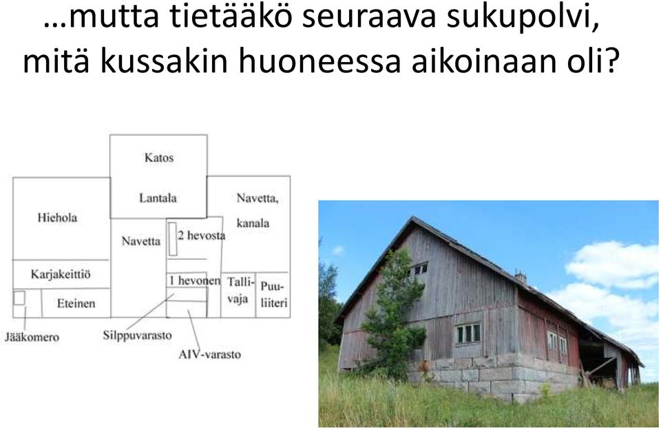 sukupolvi, mitä