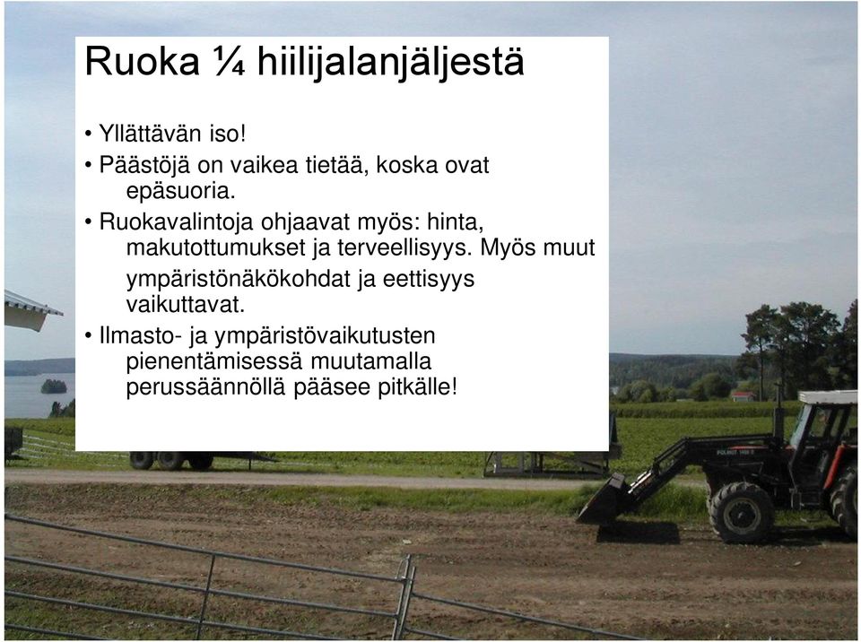 Ruokavalintoja ohjaavat myös: hinta, makutottumukset ja terveellisyys.