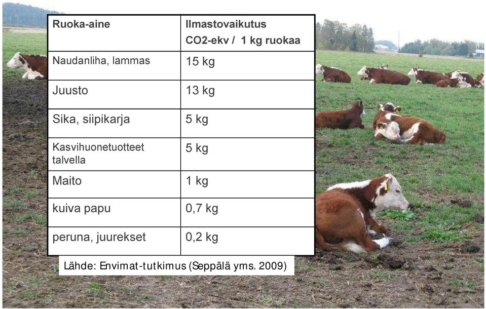 juurekset Ilmastovaikutus CO2 ekv / 1 kg ruokaa 15 kg 13 kg