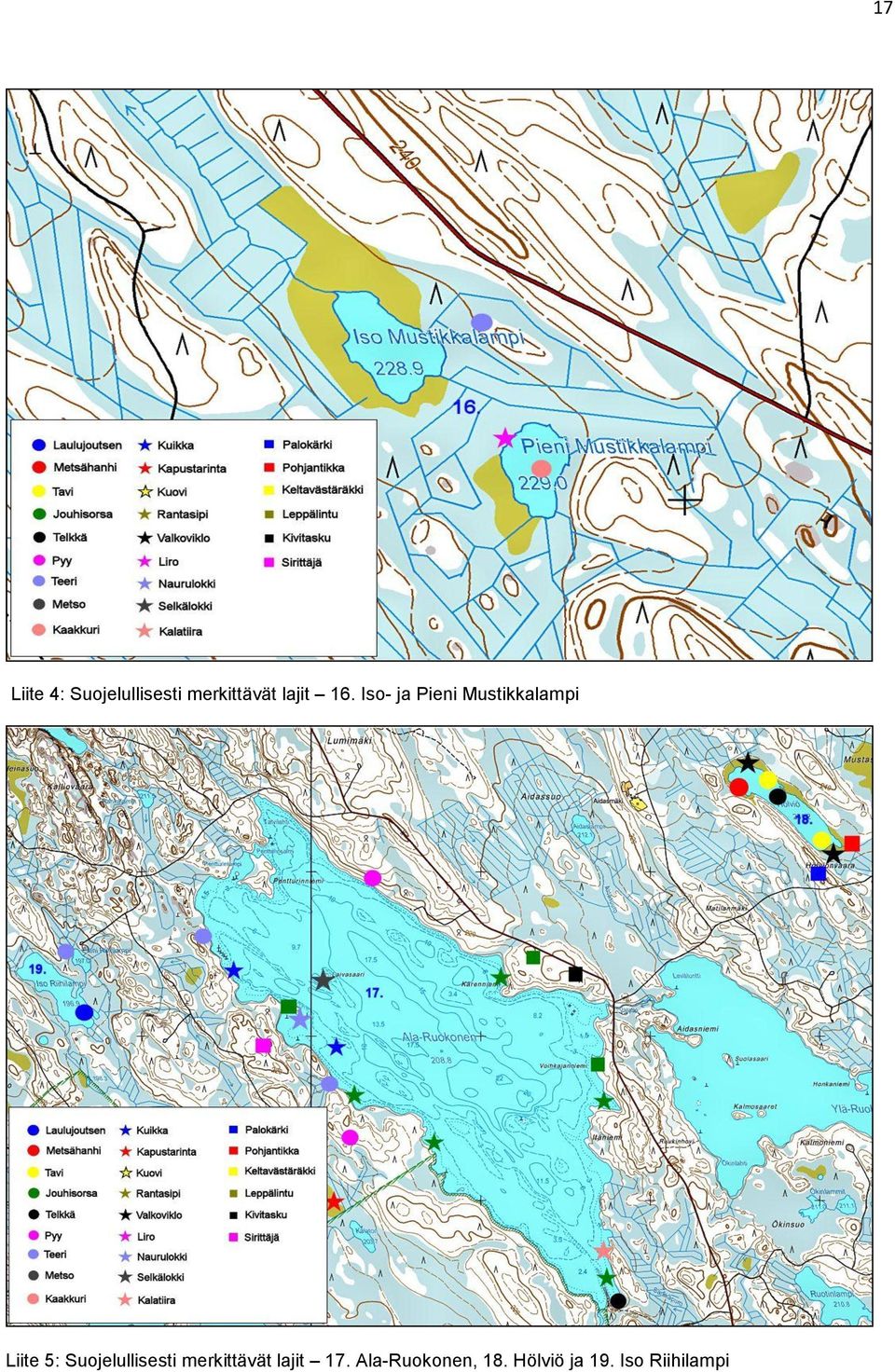 Iso- ja Pieni Mustikkalampi Liite 5: