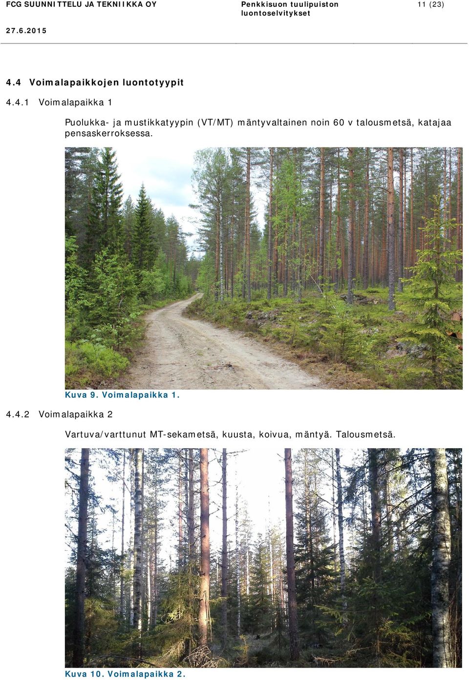 mustikkatyypin (VT/MT) mäntyvaltainen noin 60 v talousmetsä, katajaa