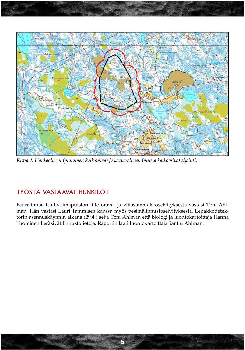 Ahlman. Hän vastasi Lauri Tammisen kanssa myös pesimälinnustoselvityksestä.