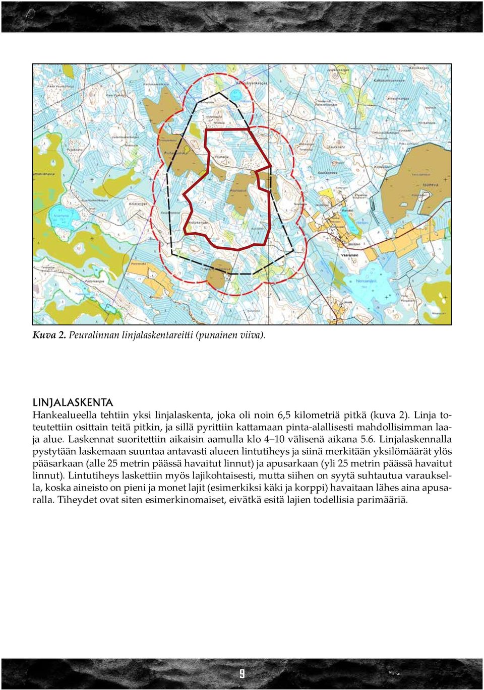 Linjalaskennalla pystytään laskemaan suuntaa antavasti alueen lintutiheys ja siinä merkitään yksilömäärät ylös pääsarkaan (alle 25 metrin päässä havaitut linnut) ja apusarkaan (yli 25 metrin päässä