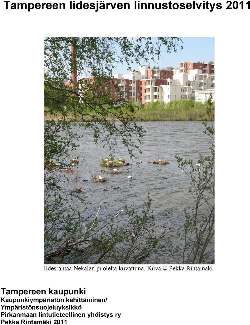 Kuva Pekka Rintamäki Tampereen kaupunki Kaupunkiympäristön