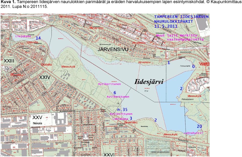eräiden harvalukuisempien lajien