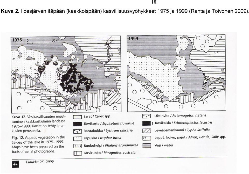 kasvillisuusvyöhykkeet