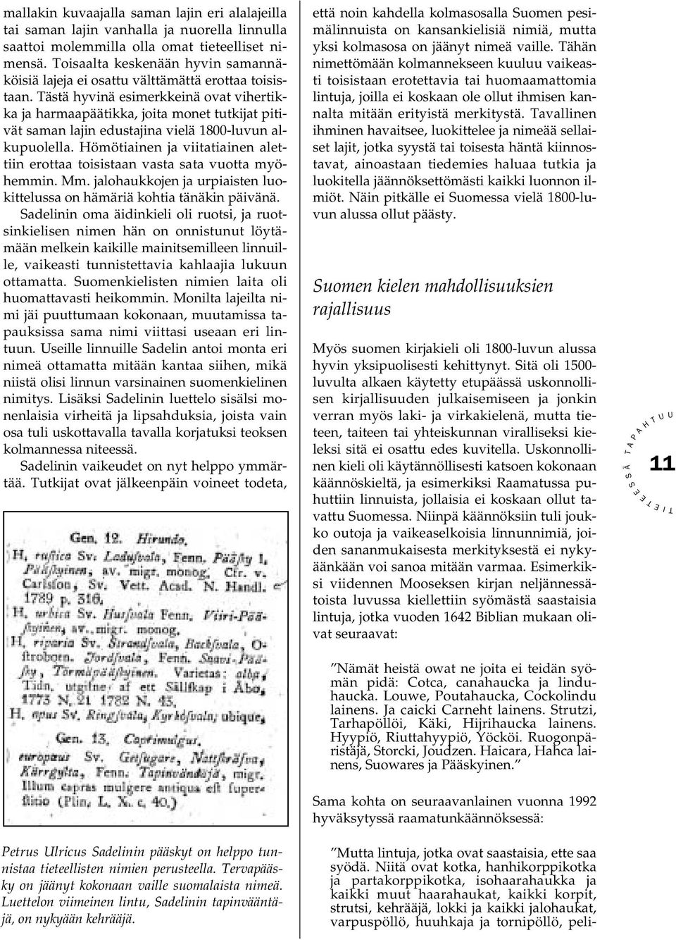 ästä hyvinä esimerkkeinä ovat vihertikka ja harmaapäätikka, joita monet tutkijat pitivät saman lajin edustajina vielä 1800-luvun alkupuolella.