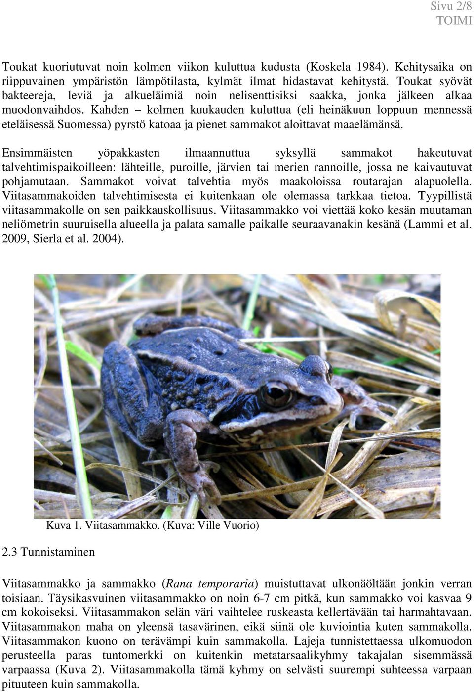 Kahden kolmen kuukauden kuluttua (eli heinäkuun loppuun mennessä eteläisessä Suomessa) pyrstö katoaa ja pienet sammakot aloittavat maaelämänsä.