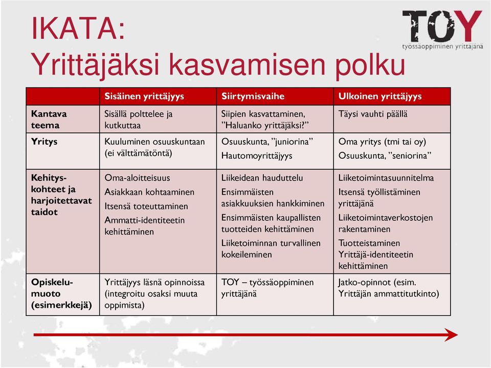 Oma-aloitteisuus Asiakkaan kohtaaminen Itsensä toteuttaminen Ammatti-identiteetin kehittäminen Liikeidean hauduttelu Ensimmäisten asiakkuuksien hankkiminen Ensimmäisten kaupallisten tuotteiden