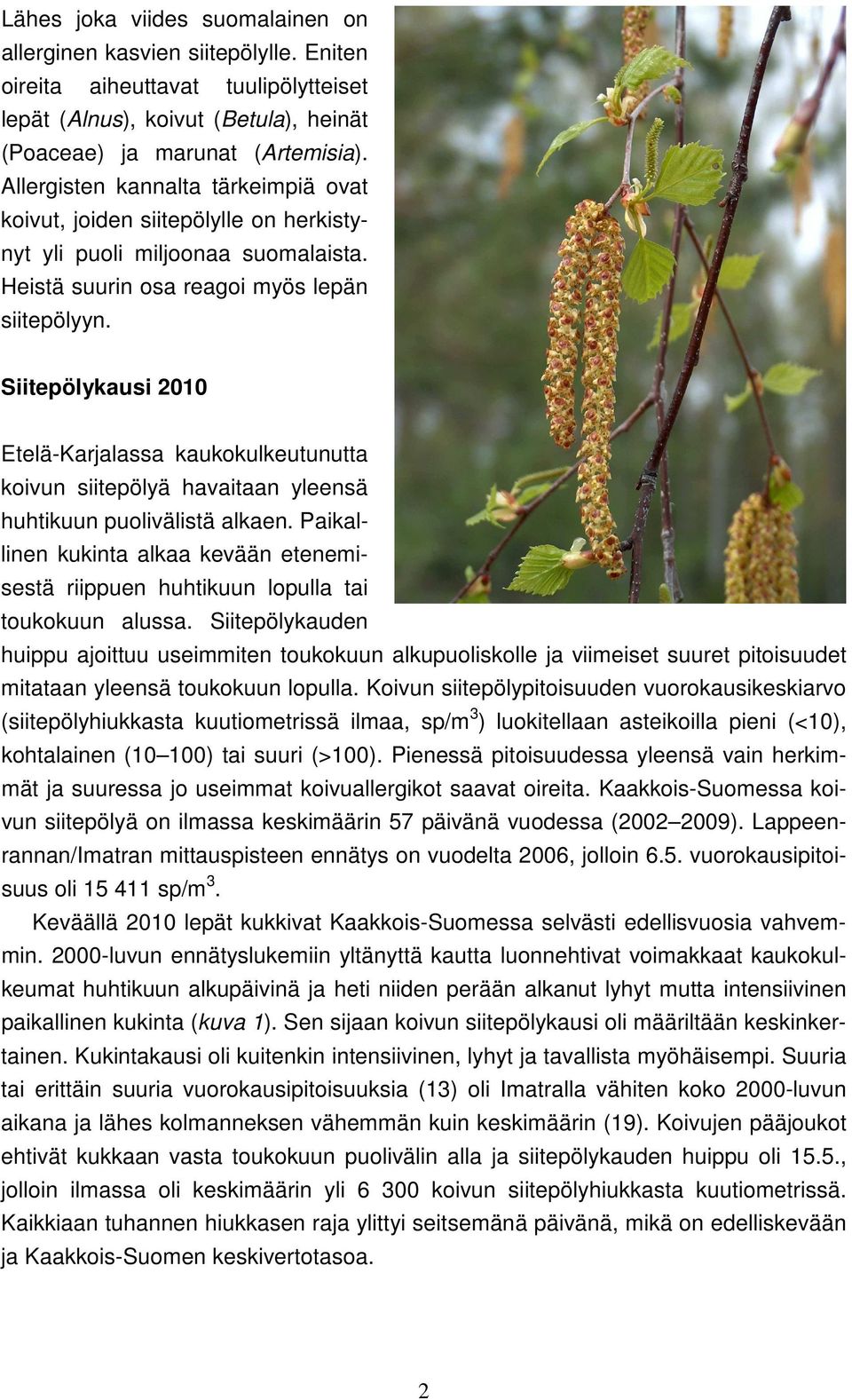Siitepölykausi 2010 Etelä-Karjalassa kaukokulkeutunutta koivun siitepölyä havaitaan yleensä huhtikuun puolivälistä alkaen.