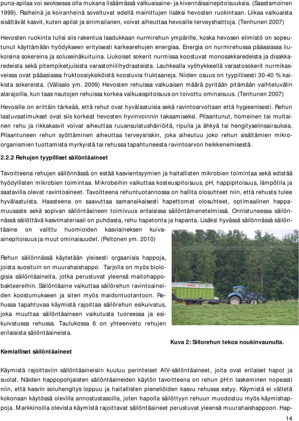 (Tenhunen 2007) Hevosten ruokinta tulisi siis rakentua laadukkaan nurmirehun ympärille, koska hevosen elimistö on sopeutunut käyttämään hyödykseen erityisesti karkearehujen energiaa.