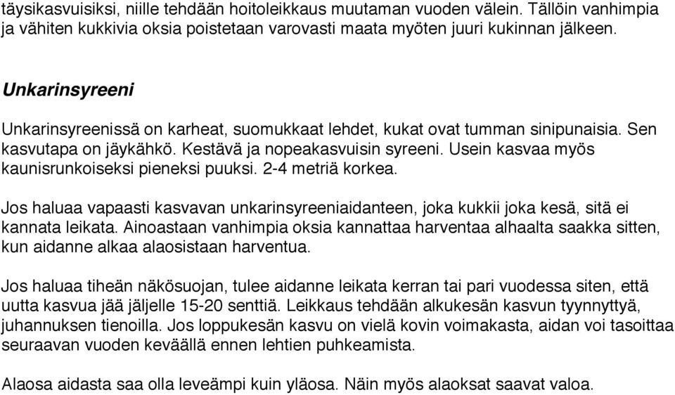 Usein kasvaa myös kaunisrunkoiseksi pieneksi puuksi. 2-4 metriä korkea. Jos haluaa vapaasti kasvavan unkarinsyreeniaidanteen, joka kukkii joka kesä, sitä ei kannata leikata.