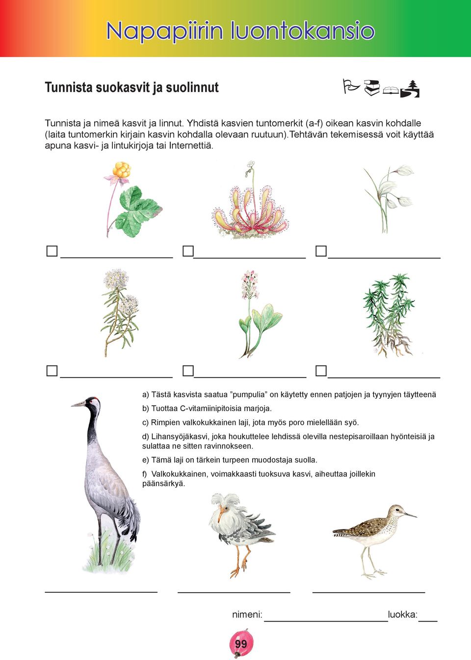 tehtävän tekemisessä voit käyttää apuna kasvi- ja lintukirjoja tai Internettiä.