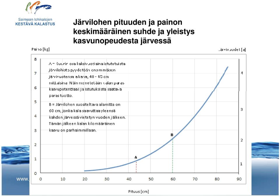 keskimääräinen suhde