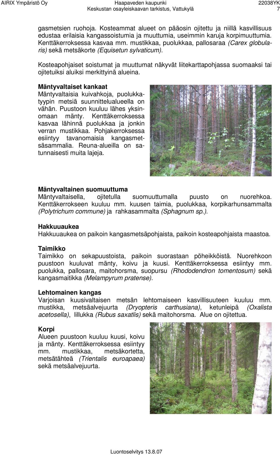 mustikkaa, puolukkaa, pallosaraa (Carex globularis) sekä metsäkorte (Equisetun sylvaticum).