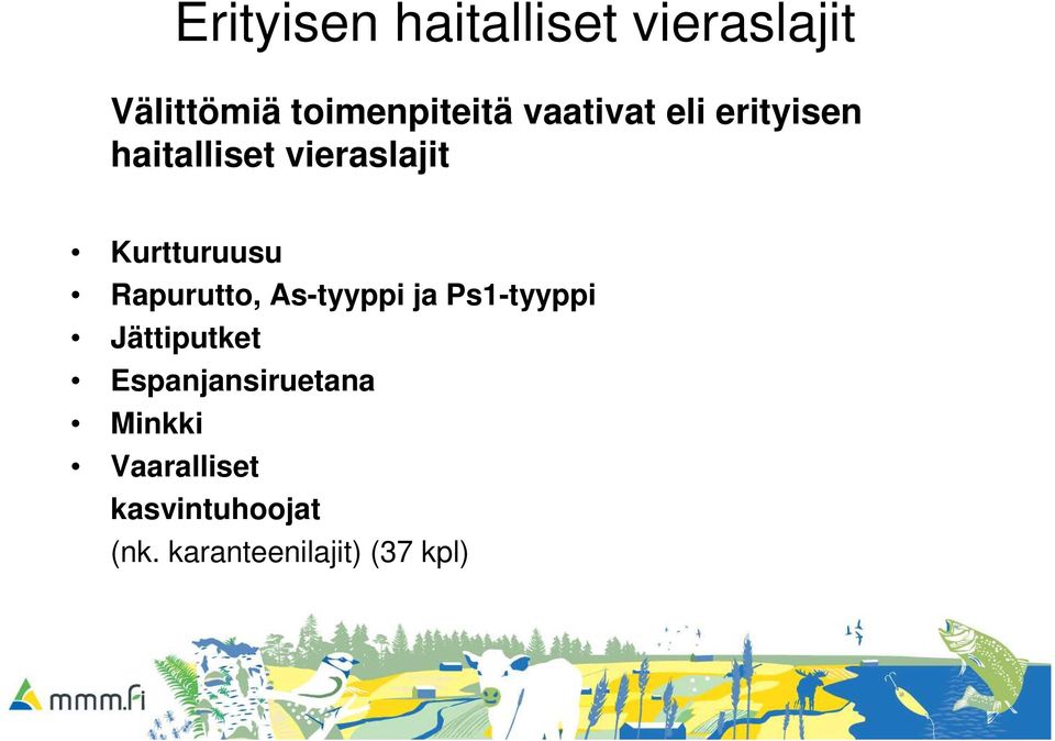 Rapurutto, As-tyyppi ja Ps1-tyyppi Jättiputket