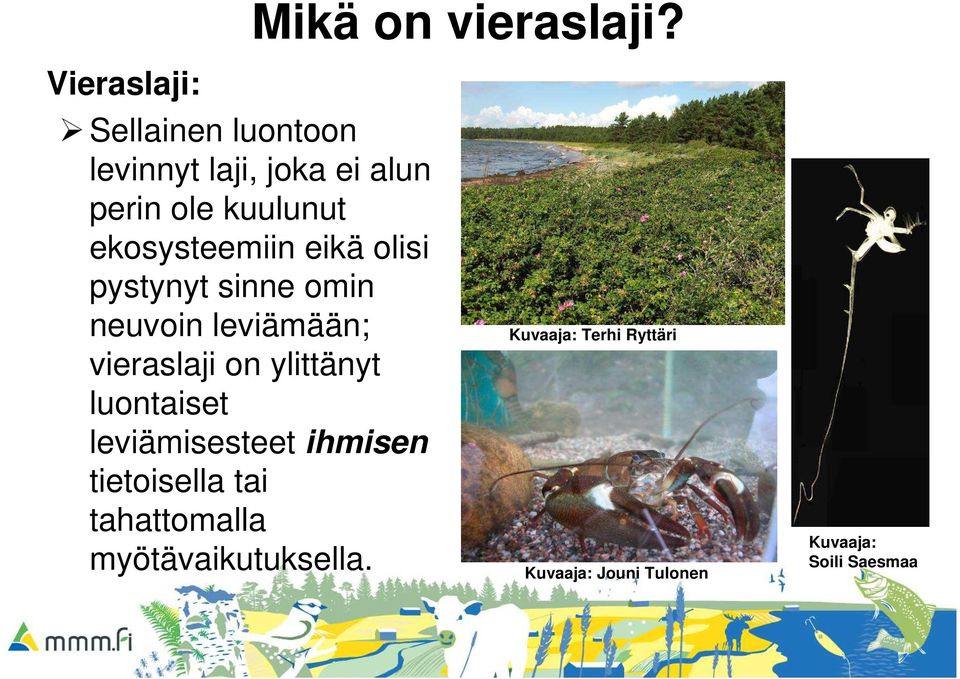 ekosysteemiin eikä olisi pystynyt sinne omin neuvoin leviämään; vieraslaji on