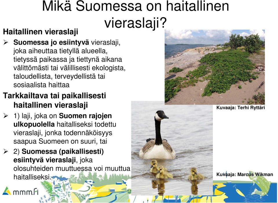 vieraslaji 1) laji, joka on Suomen rajojen ulkopuolella haitalliseksi todettu vieraslaji, jonka todennäköisyys saapua Suomeen on suuri, tai 2)