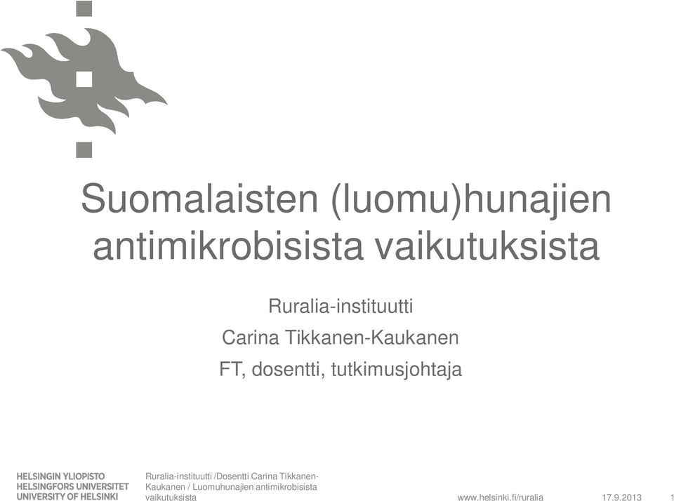 tutkimusjohtaja Ruralia-instituutti /Dosentti Carina Tikkanen-