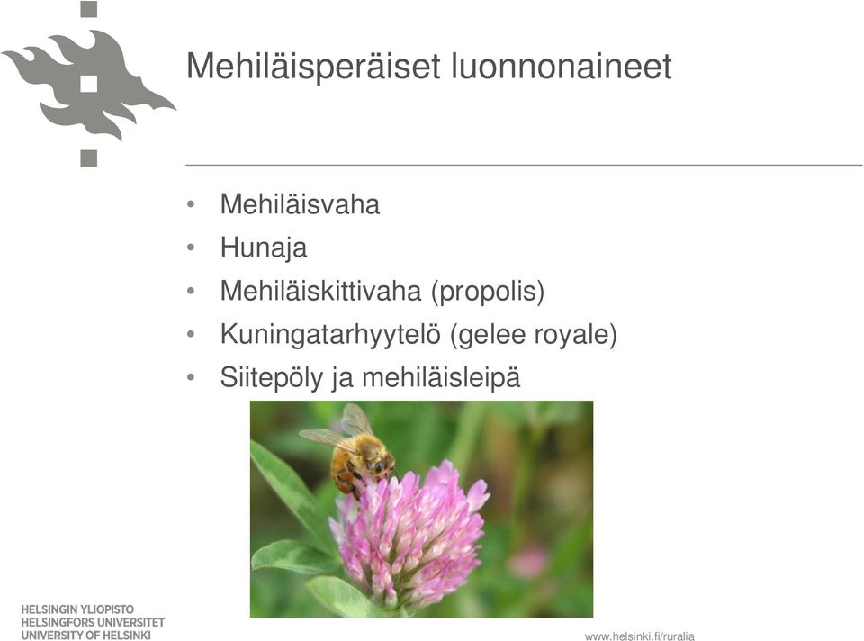 Mehiläiskittivaha (propolis)