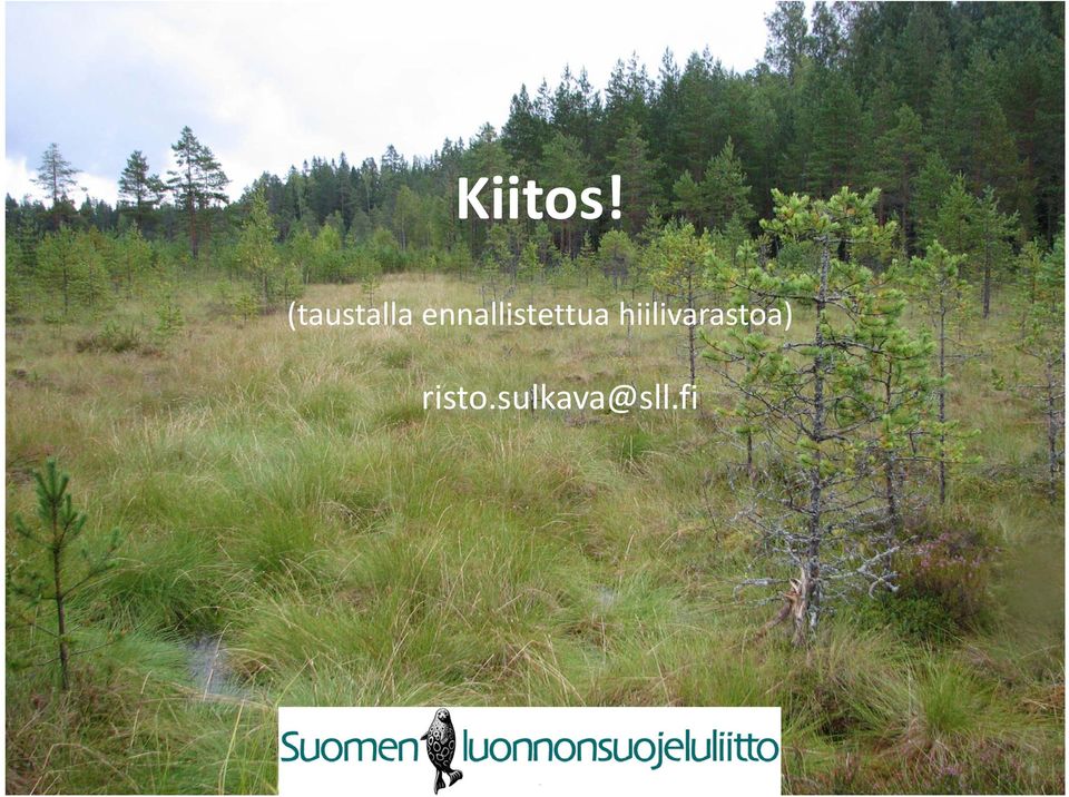 ennallistettua