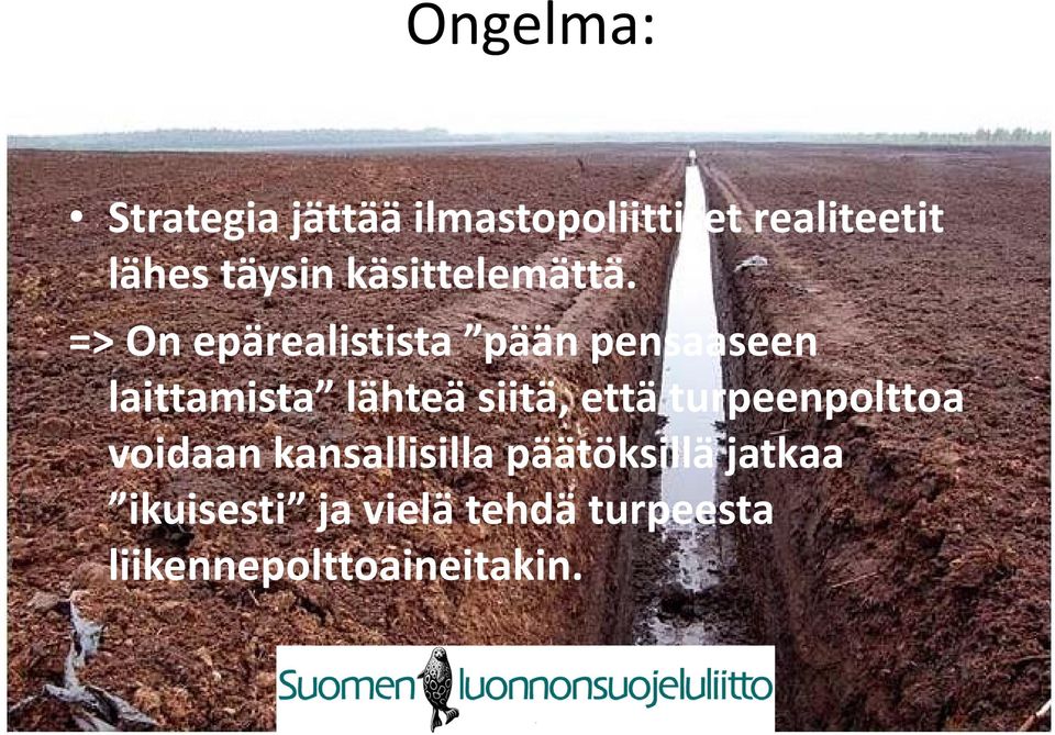 => On epärealistista pään pensaaseen laittamista lähteä siitä, että