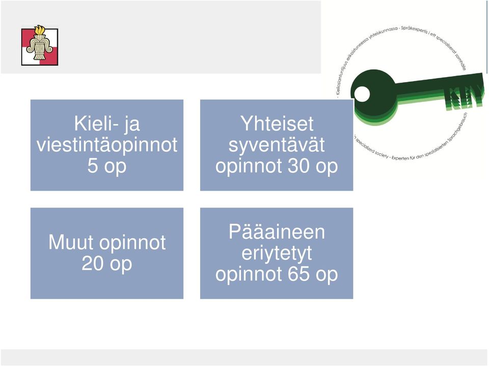 opinnot 30 op Muut opinnot 20