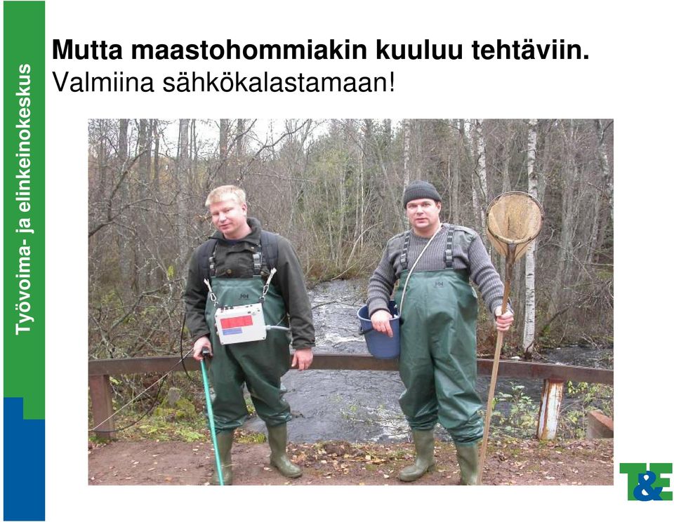 kuuluu tehtäviin.