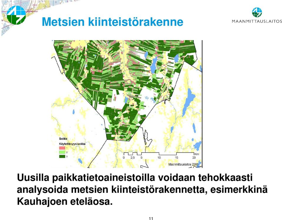 tehokkaasti analysoida metsien