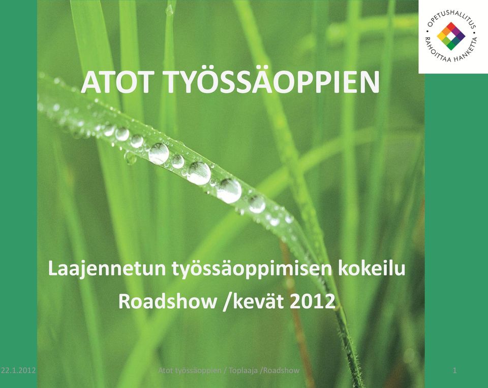 työssäoppimisen