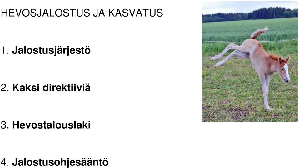 Kaksi direktiiviä 3.